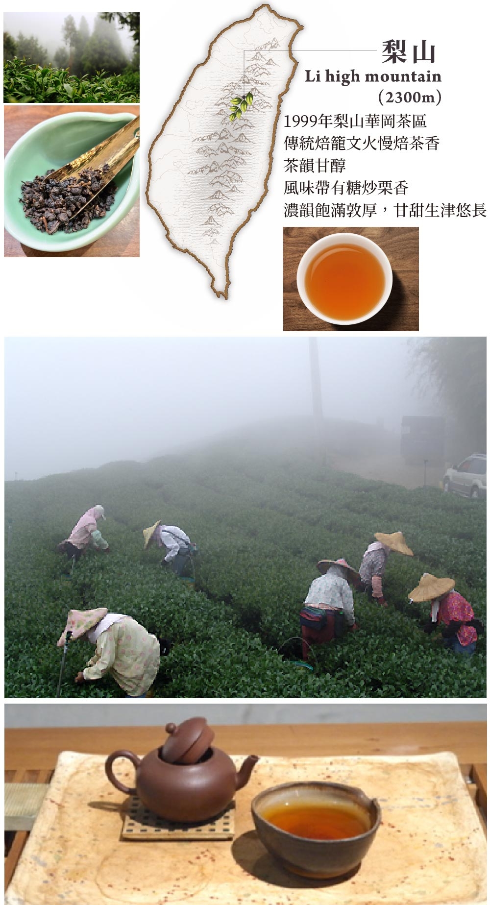台湾茶　梨山茶150g　紅烏龍茶150ｇ 百年茶荘振発 台湾茶梨山茶150g紅烏龍茶150g 百年茶荘振発